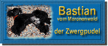 Banner f&uuml;r Bastians Seite