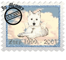Zoey *1999 +2001